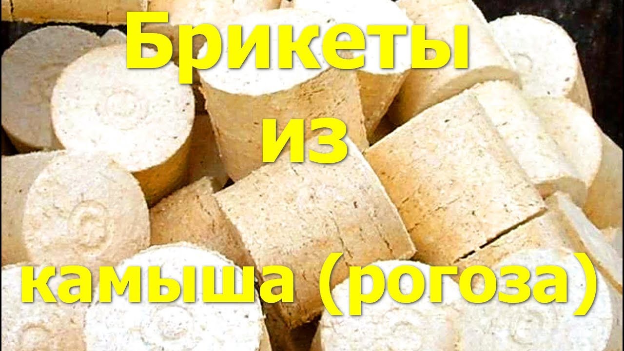 Как делать брикеты из камыша (рогоза, тростника) - домашний бизнес и тепло в доме #10