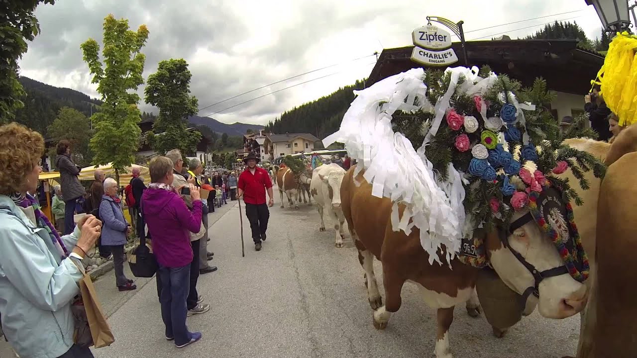 Almabtrieb Wildschönau 2015