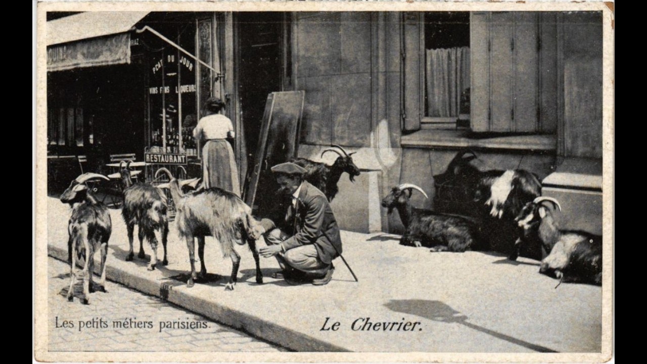 Les chèvres de Paris