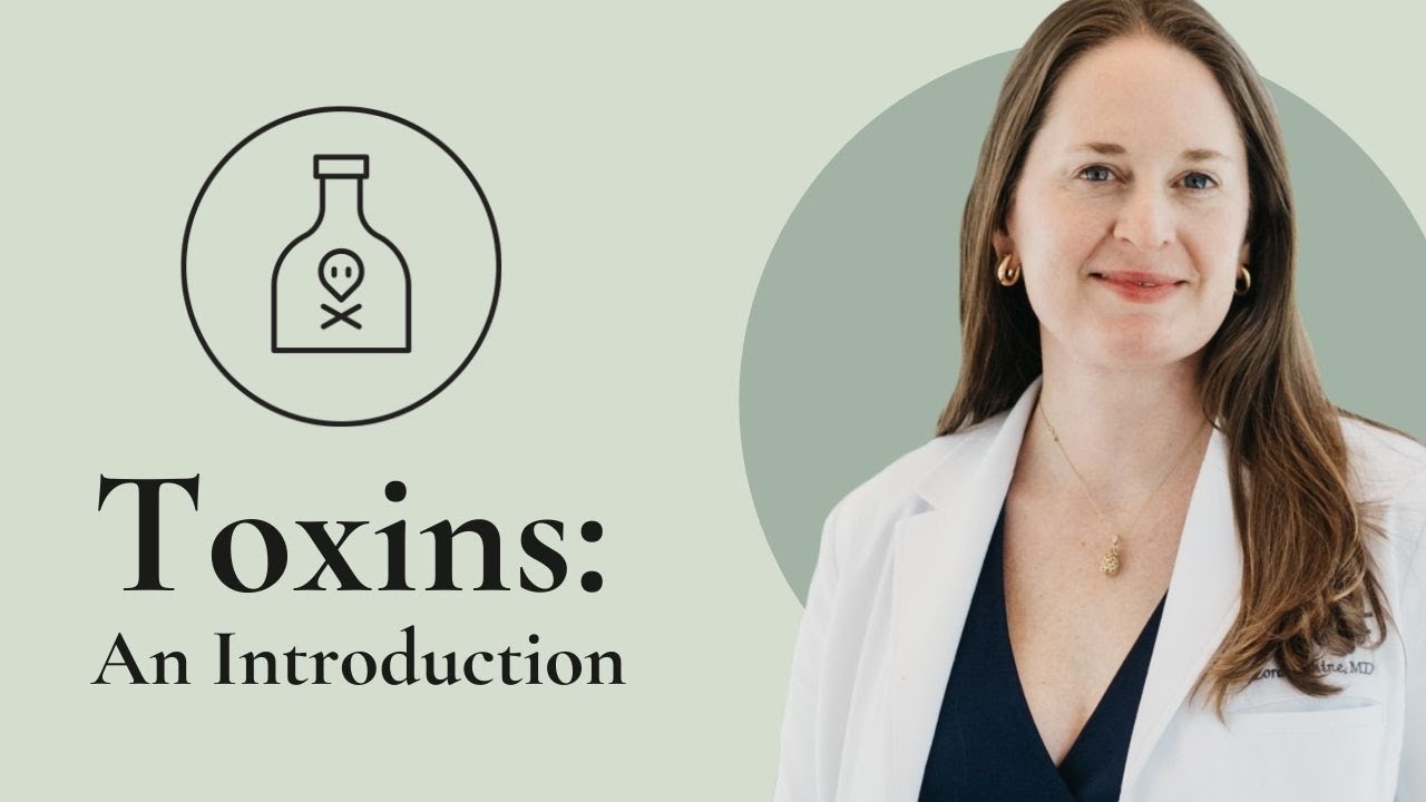 What You Need to Know About Endocrine Disruptors and Your Fertility - Dr  Lora Shahine
