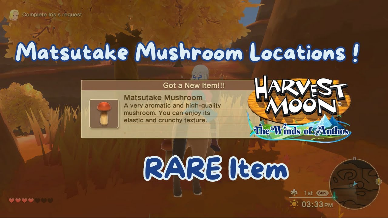 Where To Find Matsutake Mushroom In Harvest Moon The Wind of Anthos. Herbstburg Chapter