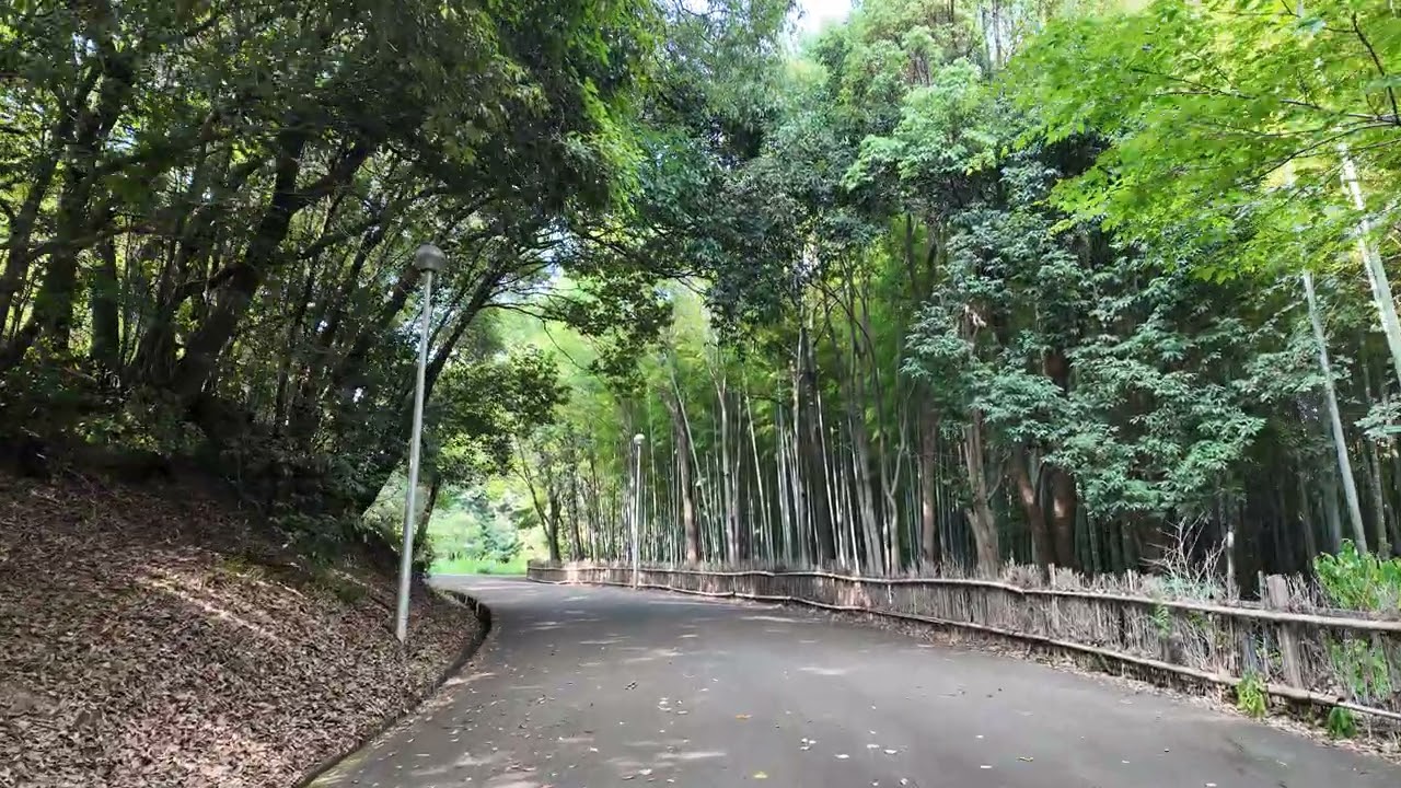 【4K】Daytime Walk in Hattori Ryokuchi Park｜Osaka Nature Walk &ndash; August 2025 / 昼の服部緑地を散歩｜2025年8月