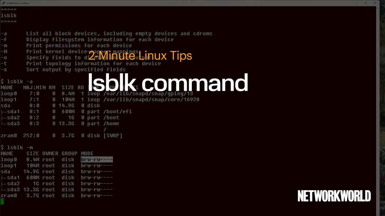 How to use the lsblk command
