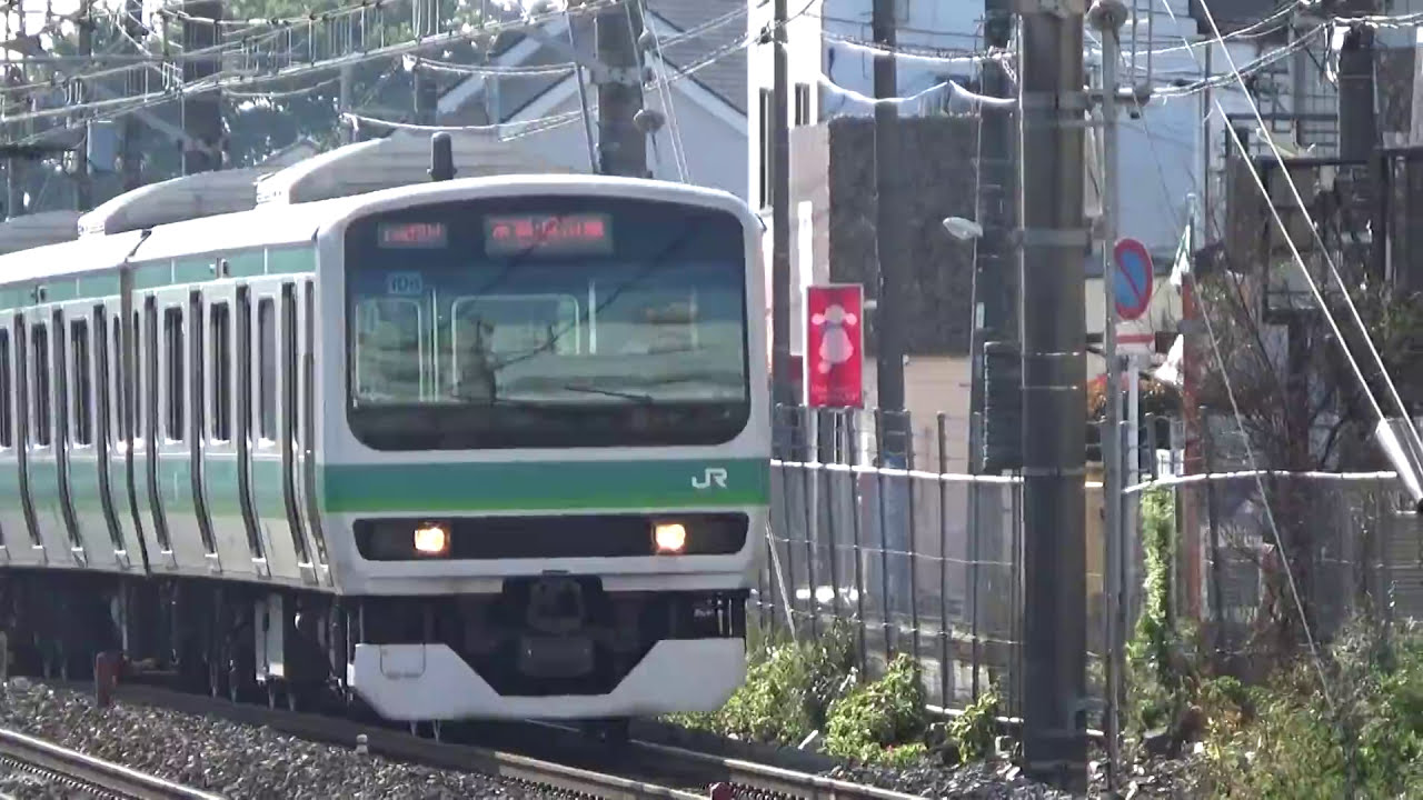 常磐線快速 高速通過集 南柏 Joban Line Rapid.