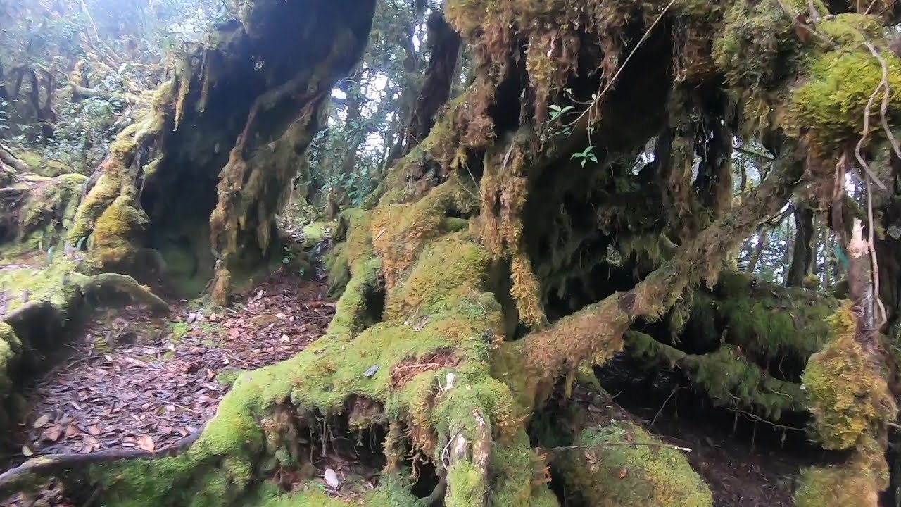 Pesona Eksotis Gunung Sinaji. Tana Toraja. #1