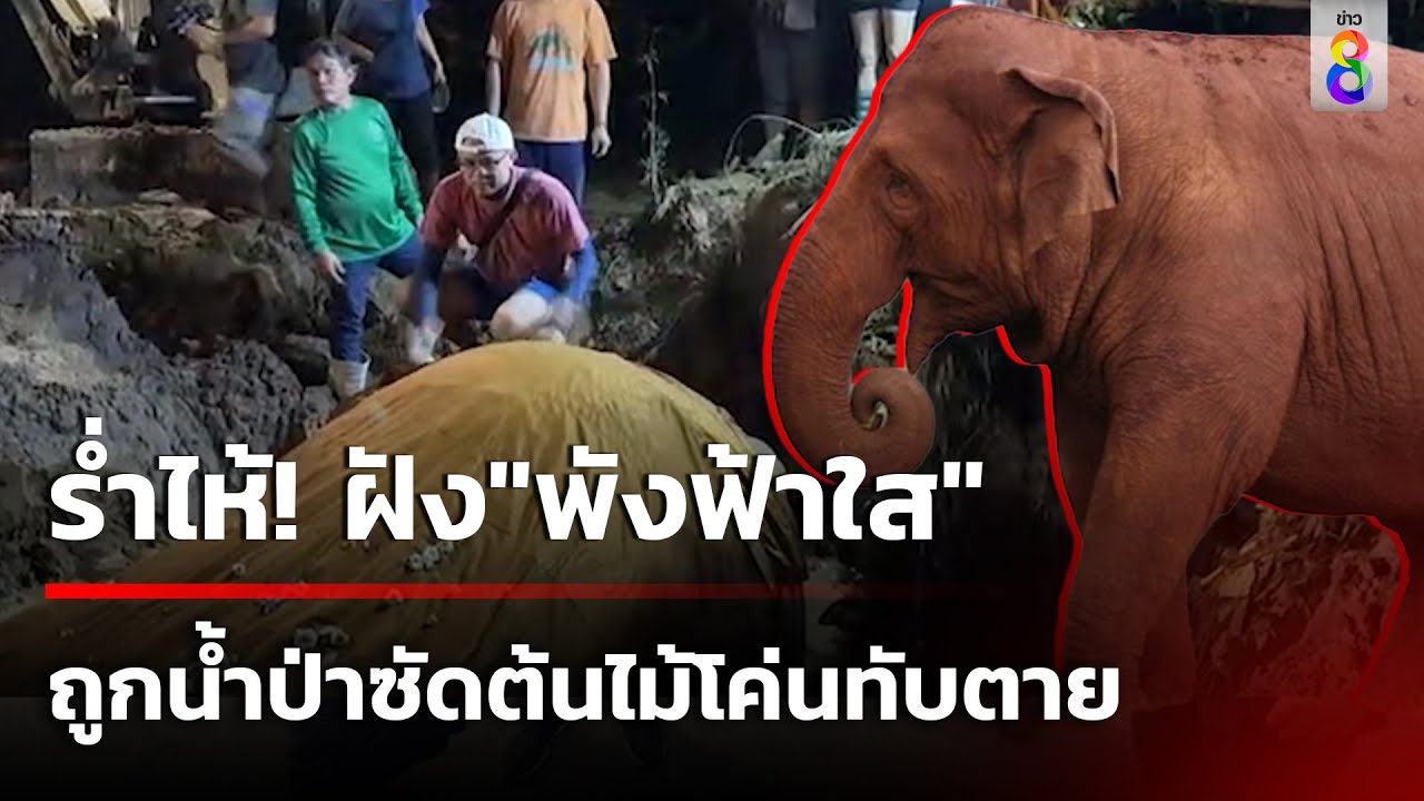 ร่ำไห้! ฝัง