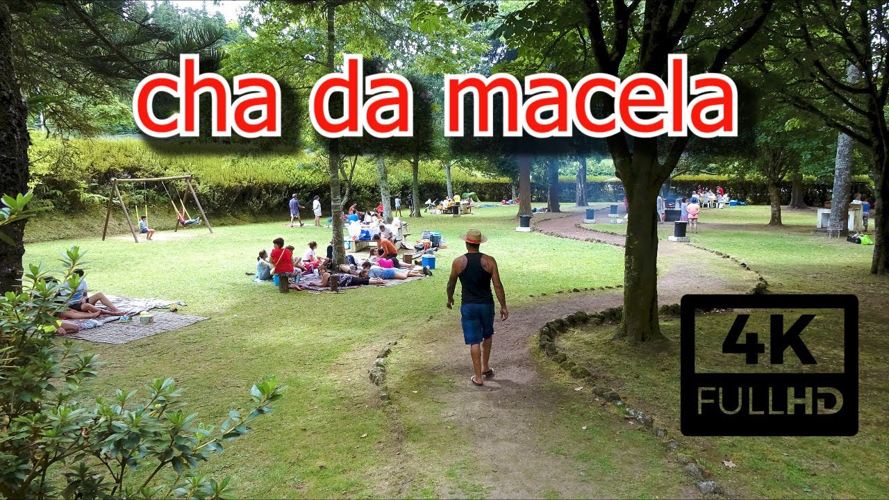 Recreational Forest Reserve of Chã da Macela Sao Miguel Azores 4k Slideshow