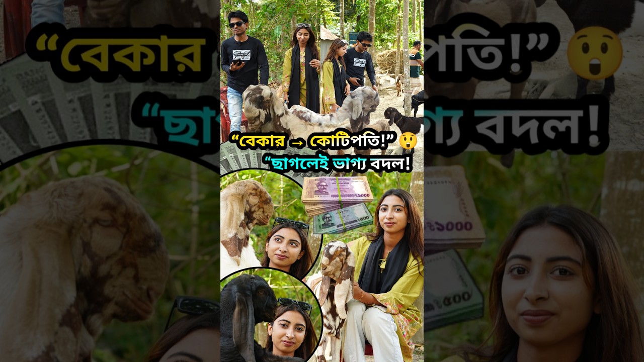 ছাগল পালন করে বেকার থেকে কোটিপতি ! কিভাবে শুরু করবেন ছাগলের খামার goat farm