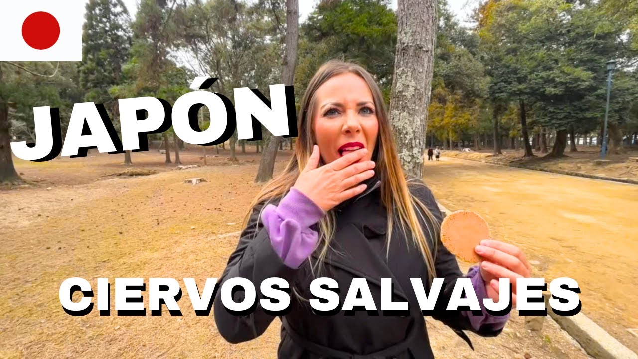 EN JAPÓN LE CORTAN LOS CUERNOS A LOS CIERVOS PARQUE NARA