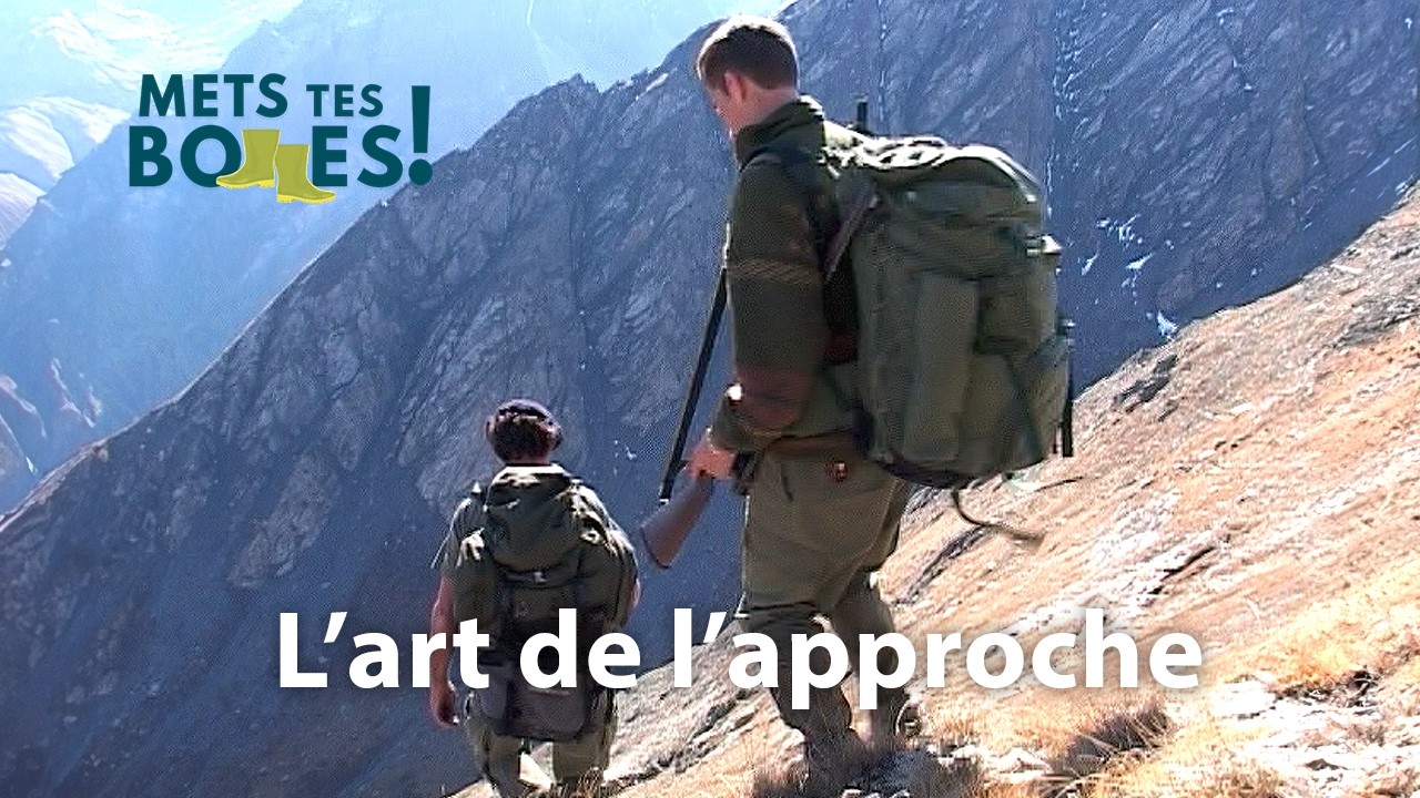 Chasse au chamois : patience et savoir-faire en altitude
