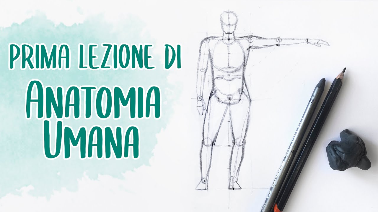 COME DISEGNARE IL CORPO UMANO | Prima Lezione di Anatomia - La struttura Base | Disegno a matita
