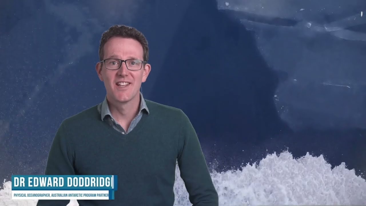 Antarctica Sea Ice Coverage 1978-2023