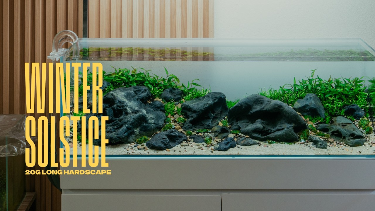 Ultum Nature Systems UNS 90L Длиннорядные аквариумные растения