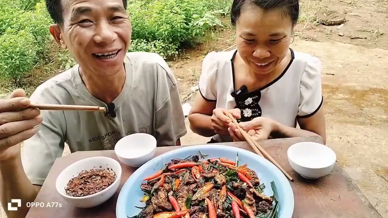 Láo Còi Thử chiến Sâu Lá Chuối 