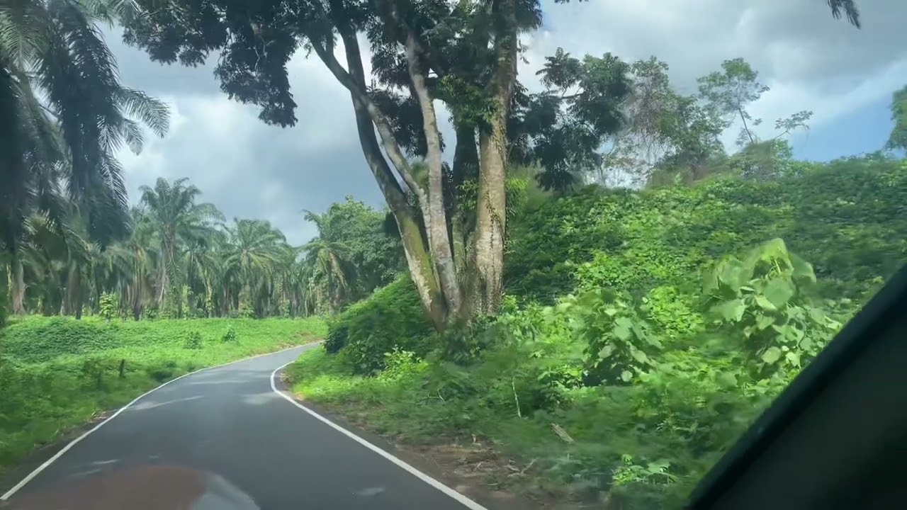 Way to Athirappilly water fall by Tara Hexa - fun 