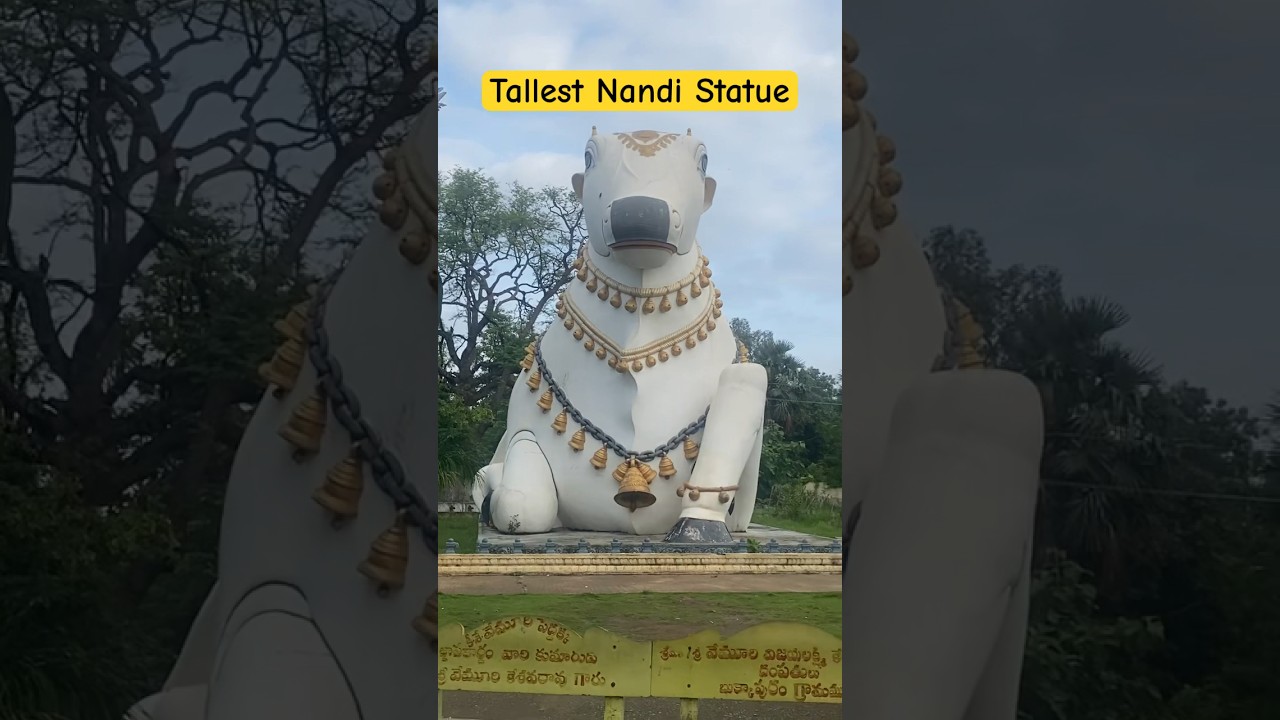 Tallest Nandi statue in Mahanandi #mahanandi #nandi  #nandyala
