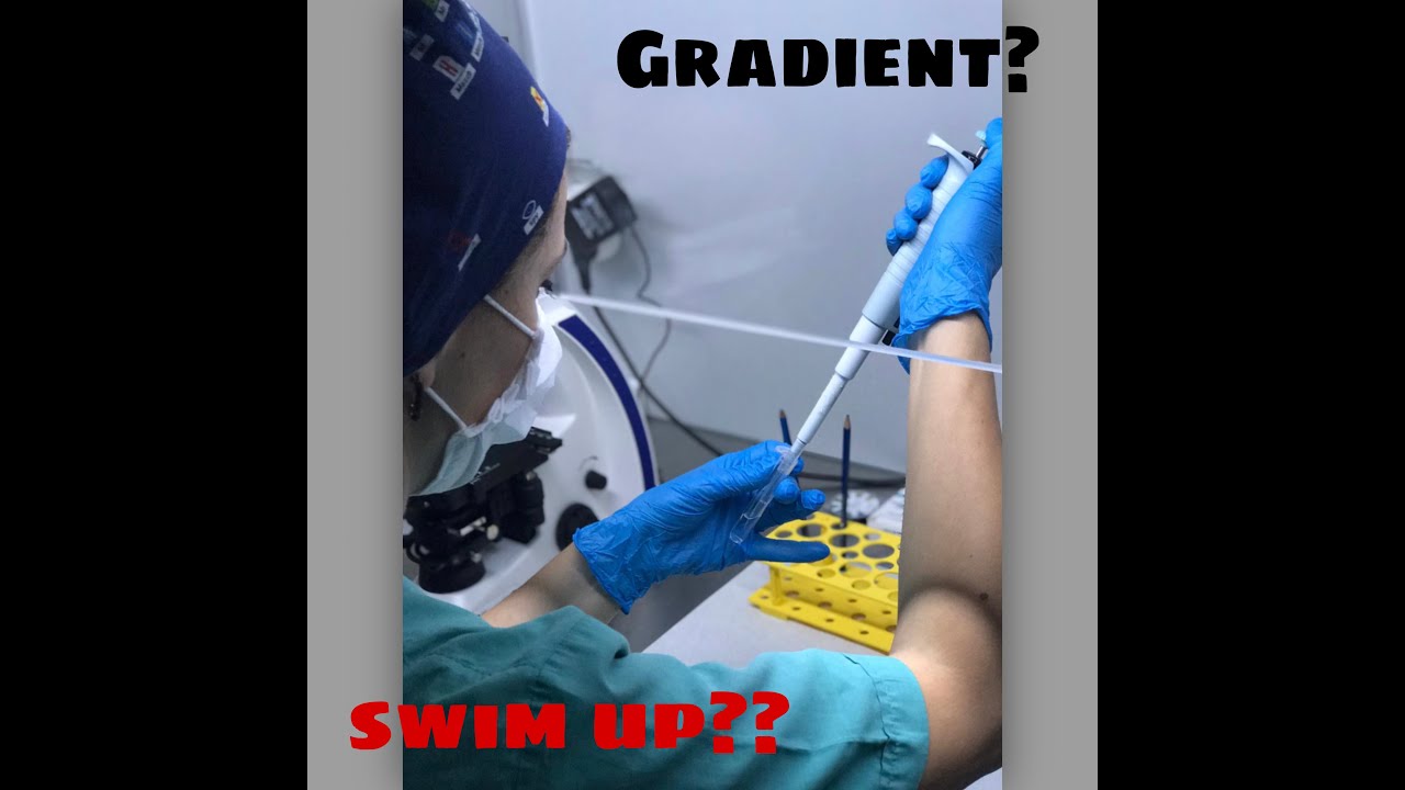 Sperm hazırlama: Gradient vs Swim up?