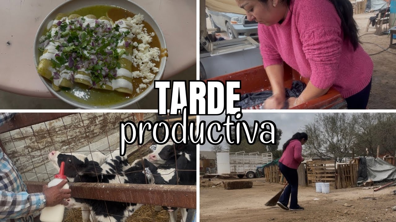 Tarde productiva en casa 🏡 | Cocinando enchiladas verdes y quehaceres
