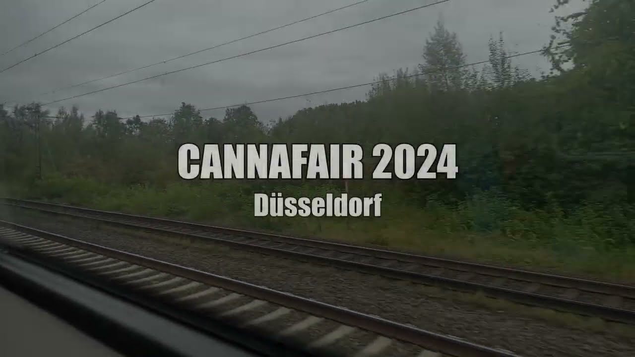 Cannafair 2024 in D&uuml;sseldorf | Cannabis Messe 23.08.2024
