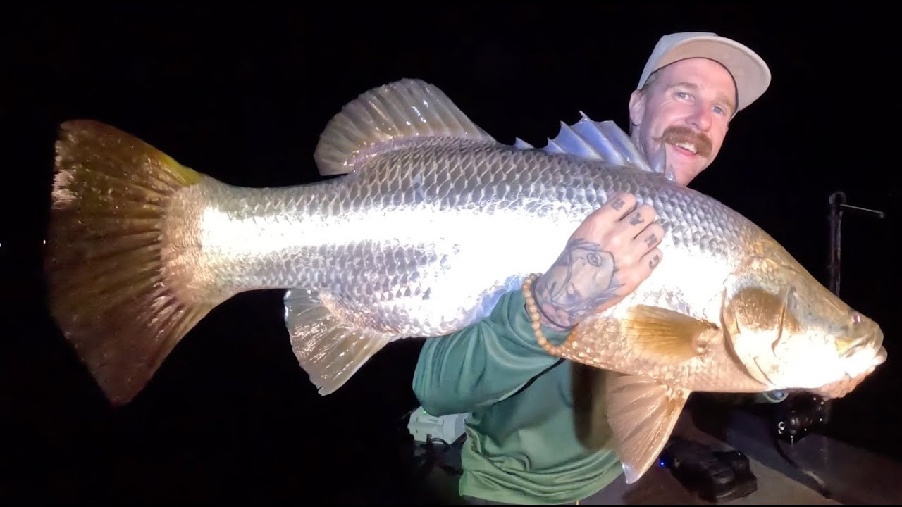 BIG BARRAMUNDI - Lake Monduran
