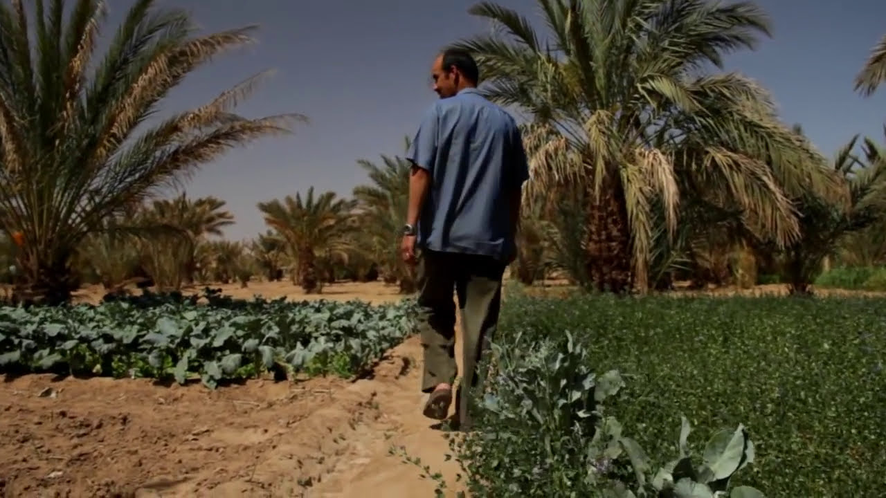 MAROCCO La khettara di Hassi Labiad