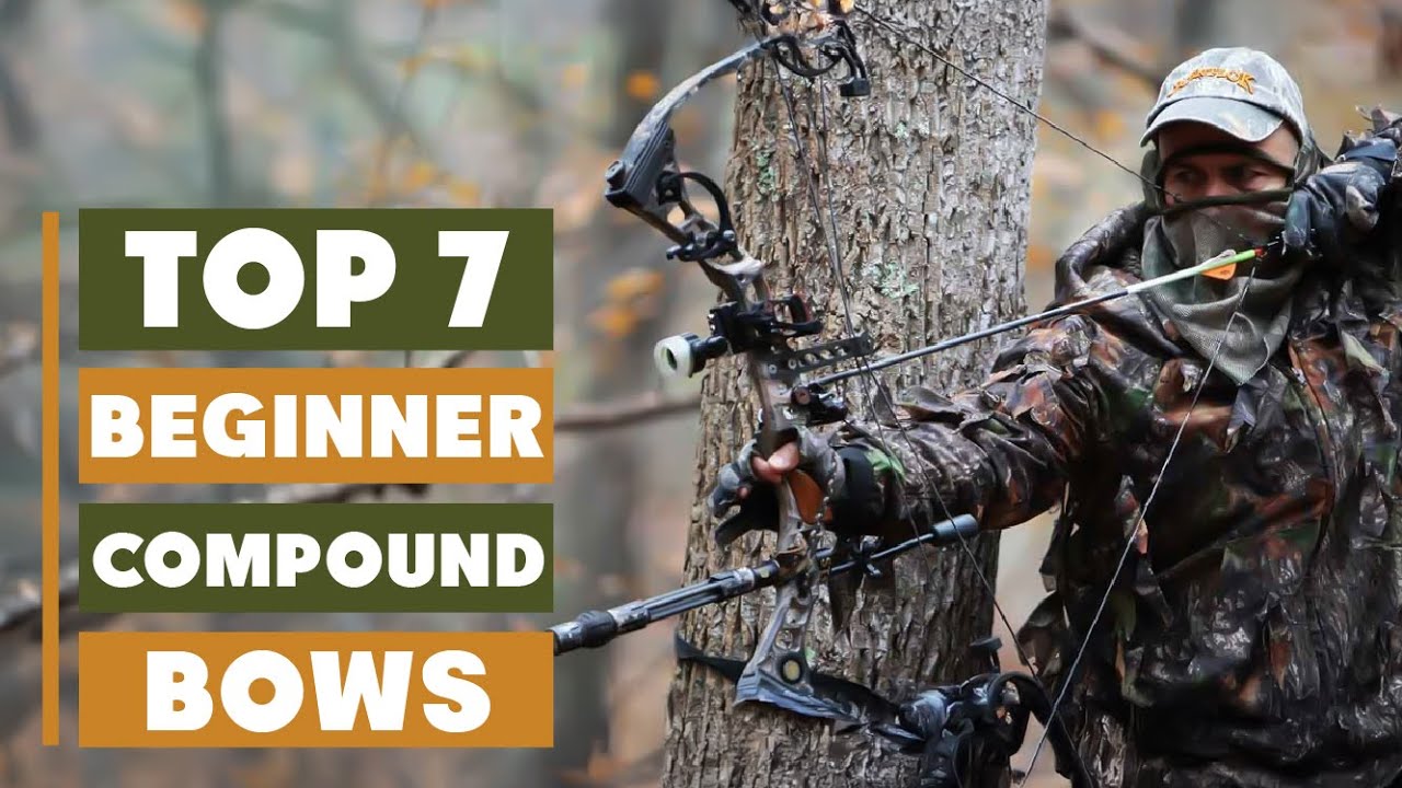 7 Best Compound Bows for Beginners - Start Your Archery Journey Right!