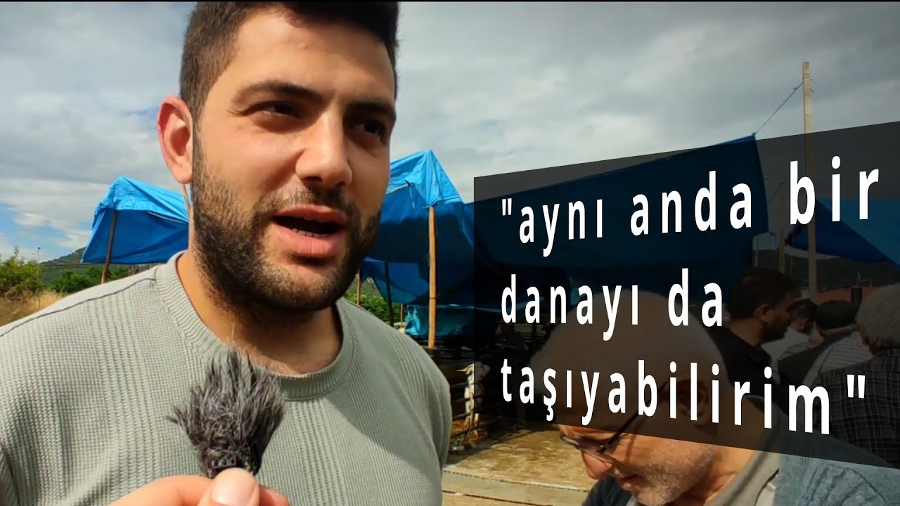 Sinop Boyabat Hayvan Pazarı - Kurbanlık Seçiyoruz!