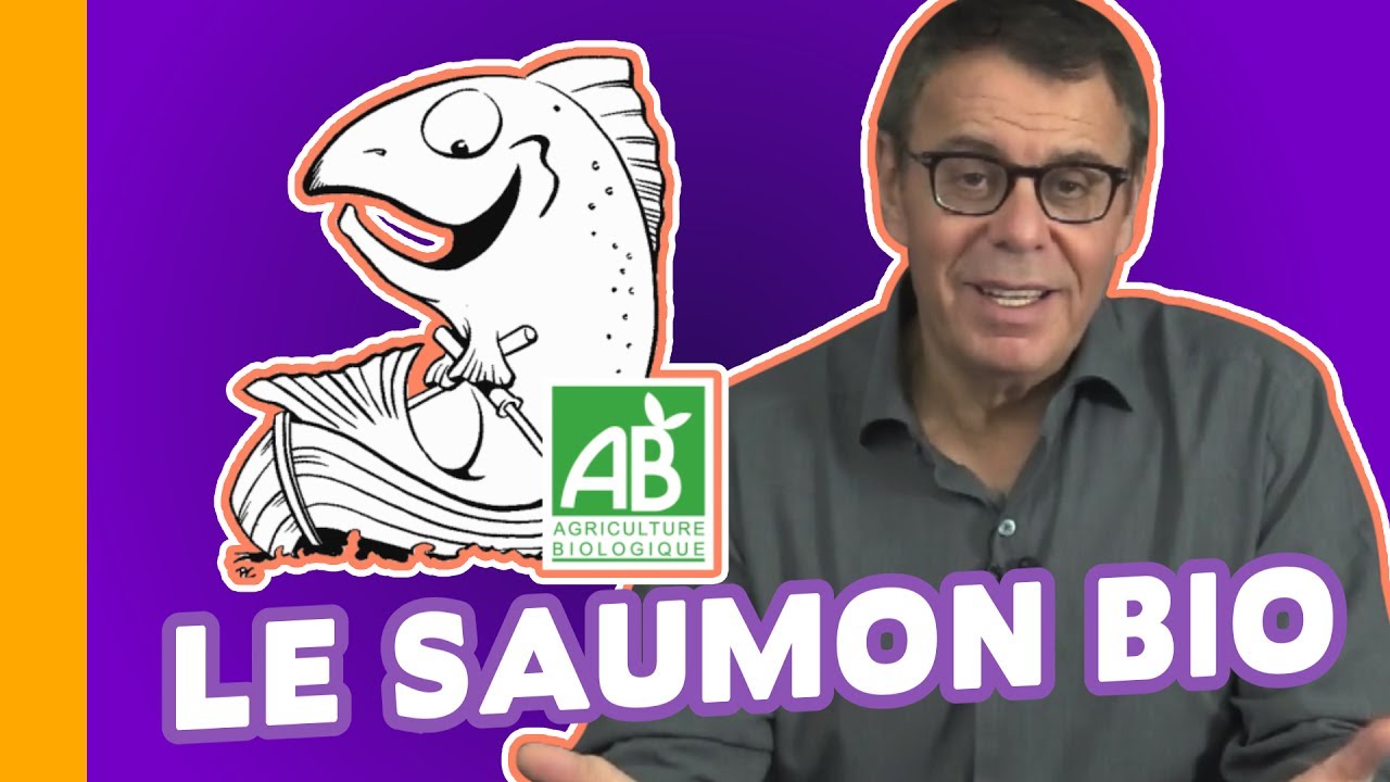 Le Saumon Bio - Le Grain de Sel de Jean-Michel Cohen