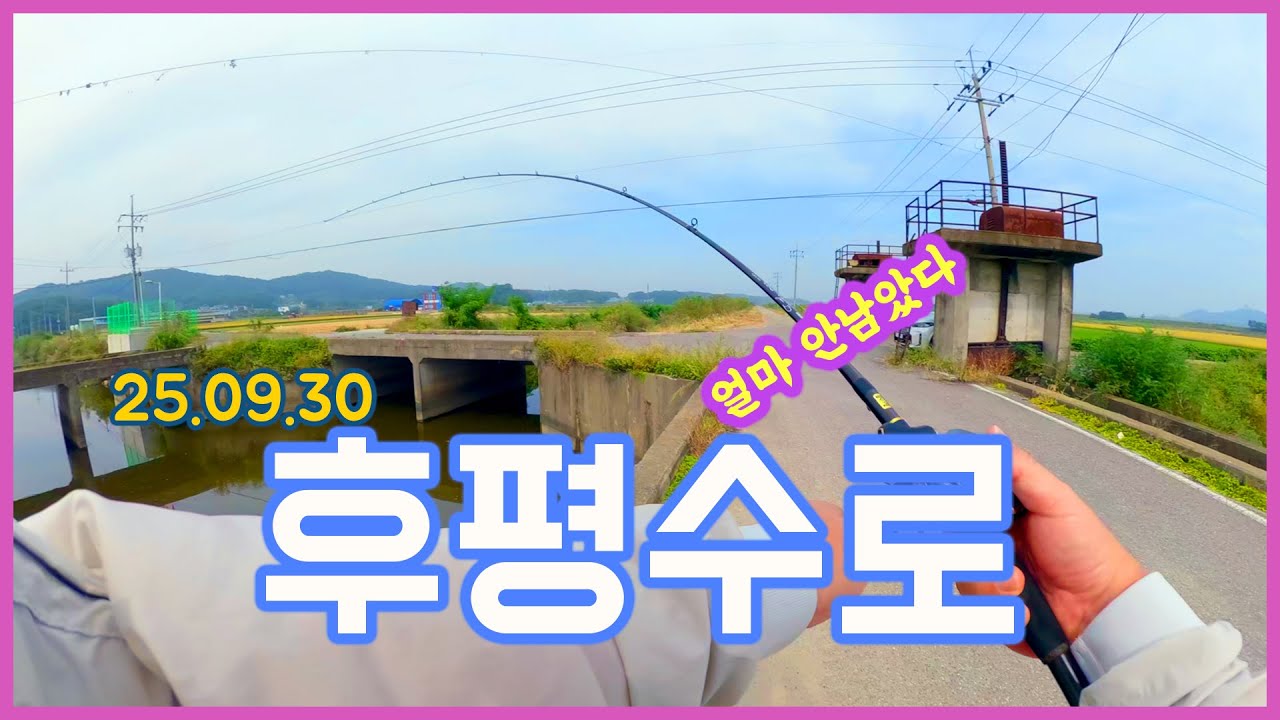 후평리 수로 다녀왔습니다 #배스낚시 #fishing #수로낚시