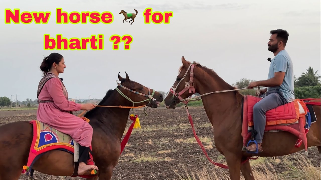 Chalo ajj horse riding me jate hai