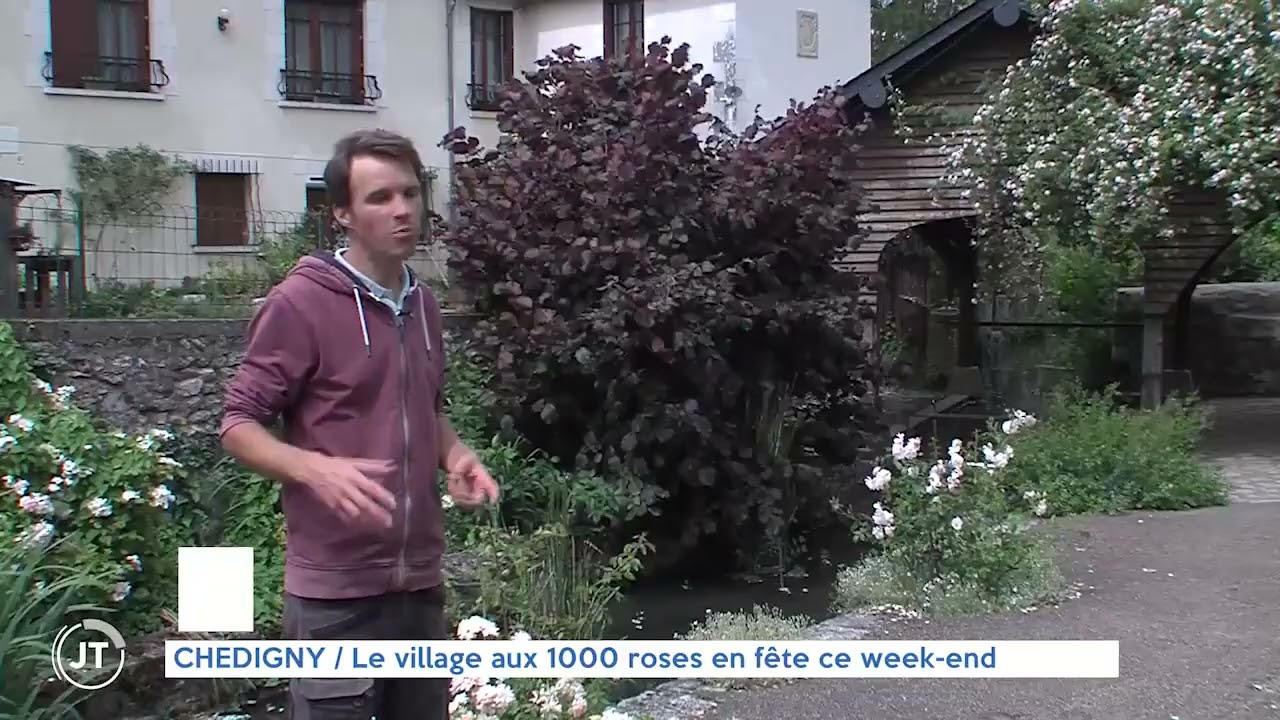 CHEDIGNY / Le village aux 1000 roses en fête ce week-end