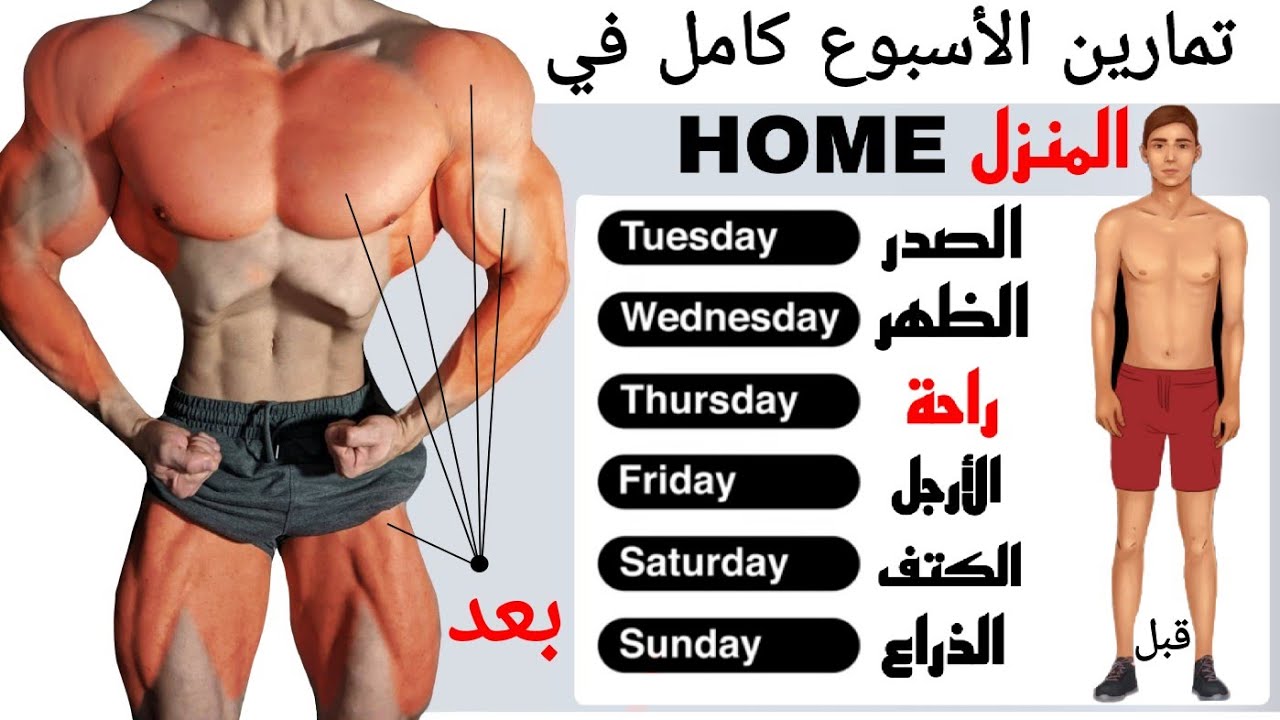 أفضل جدول تمارين الاسبوع كامل في المنزل بالدمبل فقط | شرح مفصل كمال الأجسام