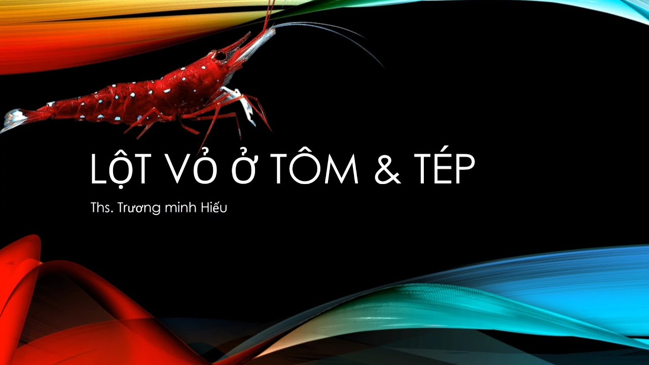 Lột vỏ ở Tép: Các nguyên nhân lột vỏ thất bại và Giải pháp