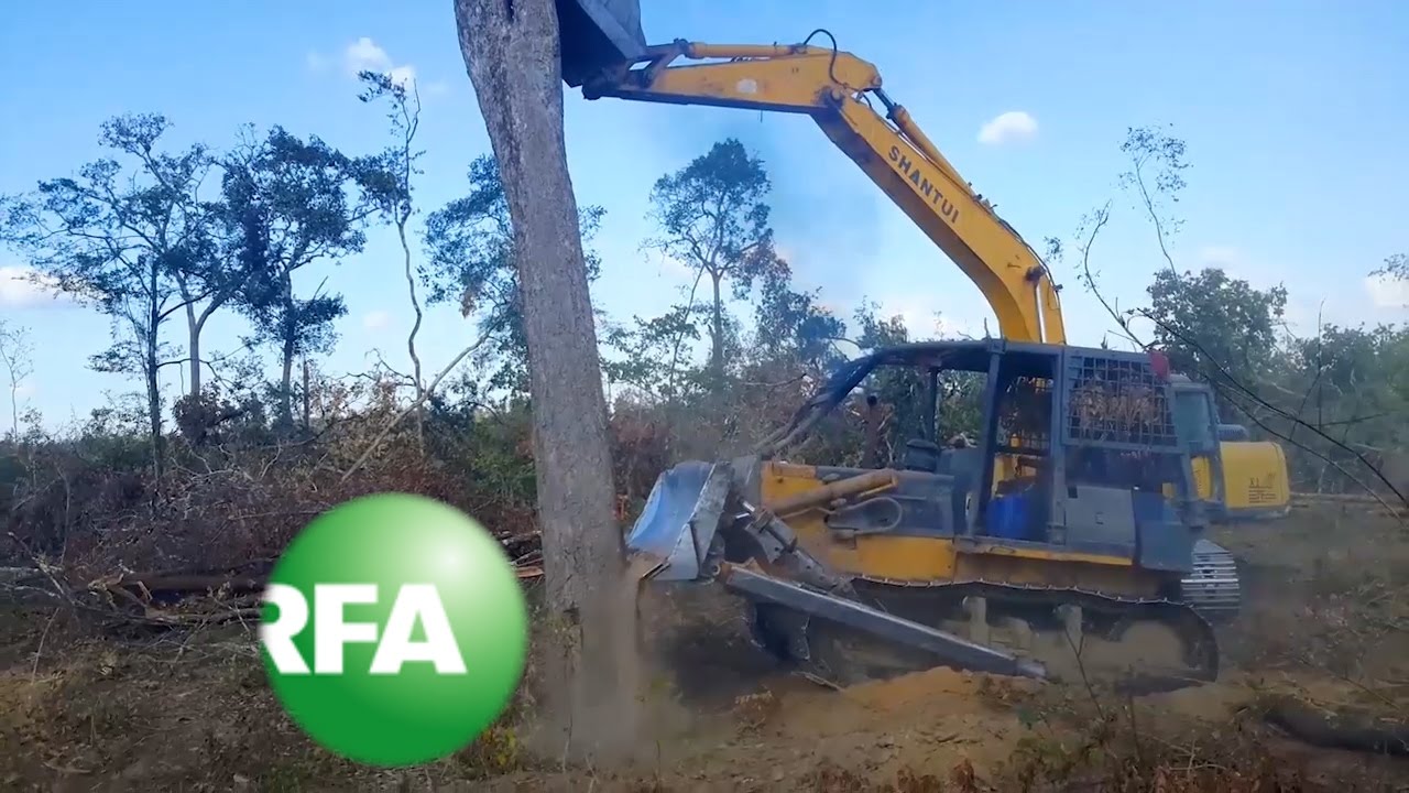 Cambodia’s Kuoy in Land Conflict with Chinese Company | Radio Free Asia (RFA)