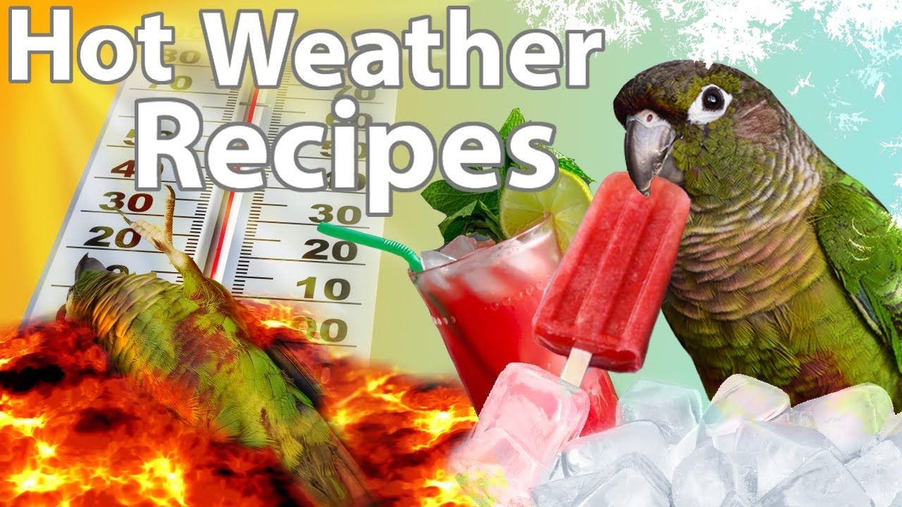 3 Cool Treats for Hot Days | DIY