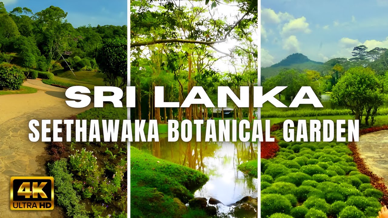 Walking tour of SEETHAWAKA BOTANICAL GARDEN in Sri Lanka - Travel Sri Lanka