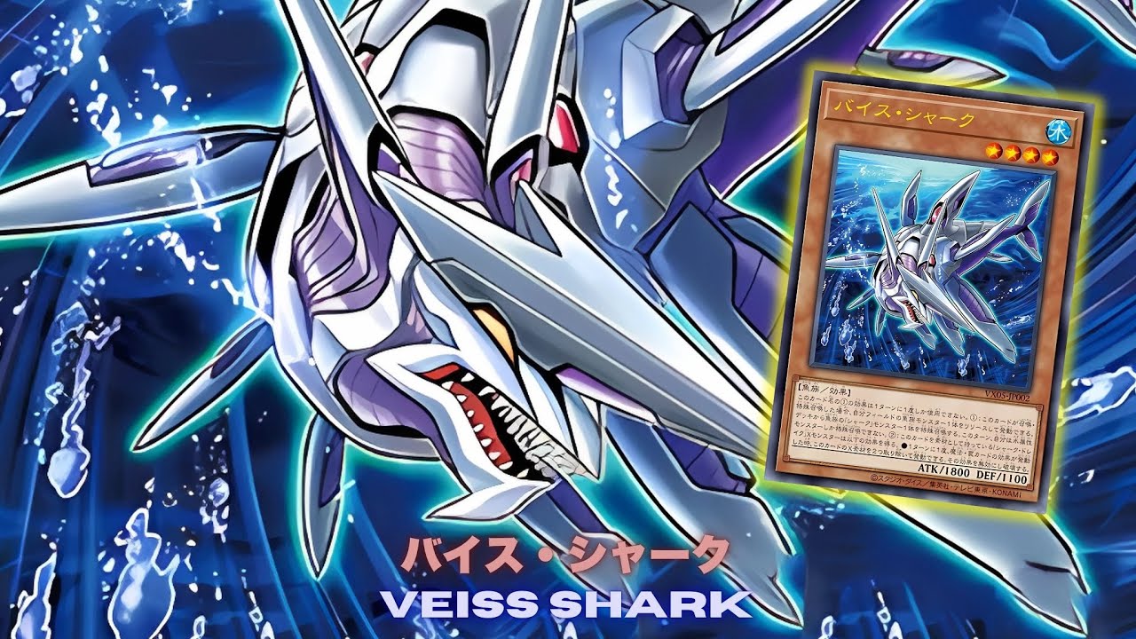 Shark Drake LeVeiss 2 Netage !! Veiss Shark DECK NEW CARD - YGOPRO
