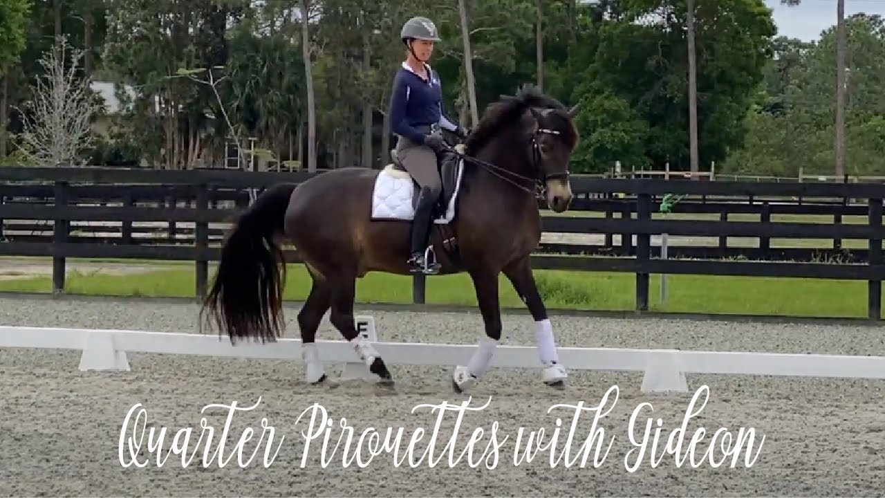 Quarter Pirouettes with Gideon