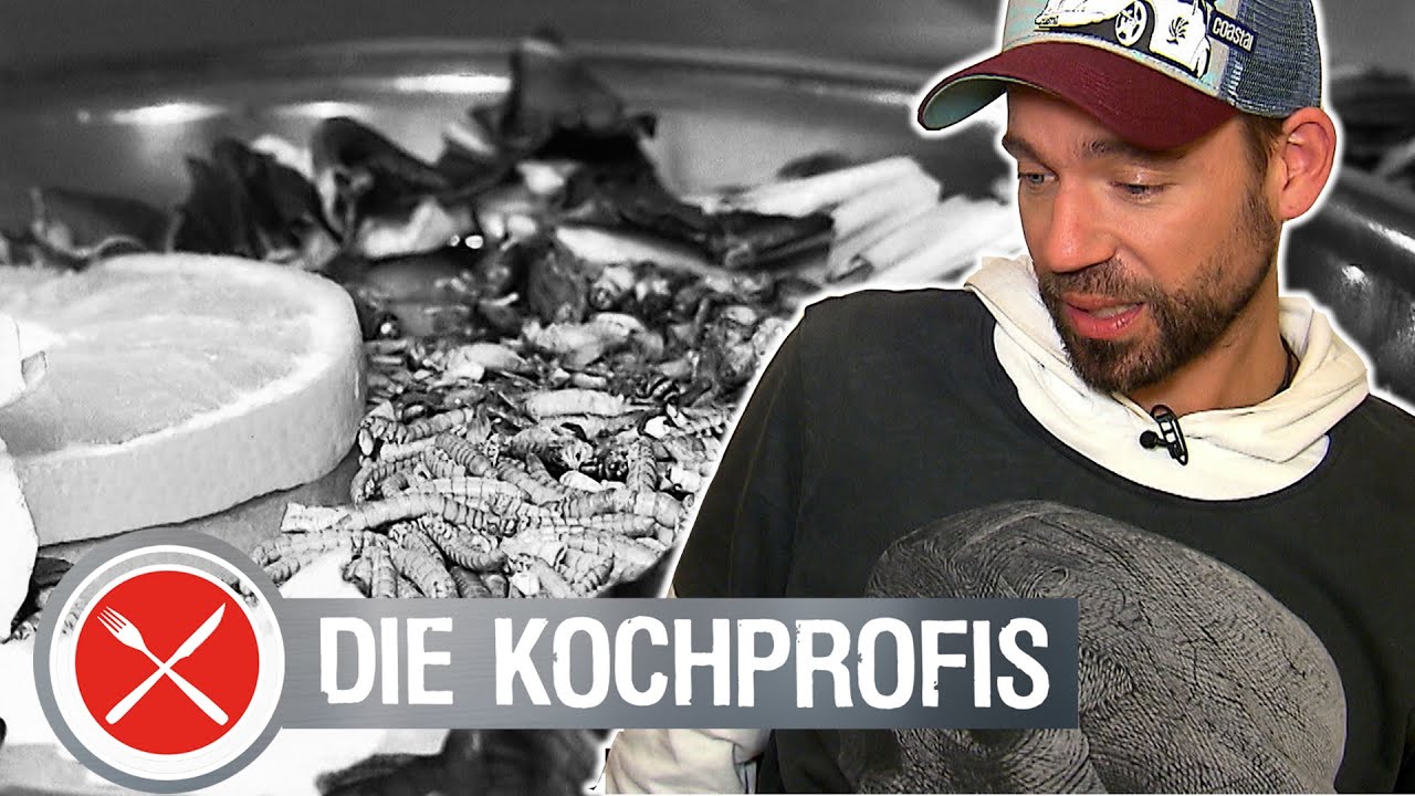 MADEN!!! zum Nachtisch und Essen aus der Dose - Guten Appetit! | Die Kochprofis - Einsatz am Herd