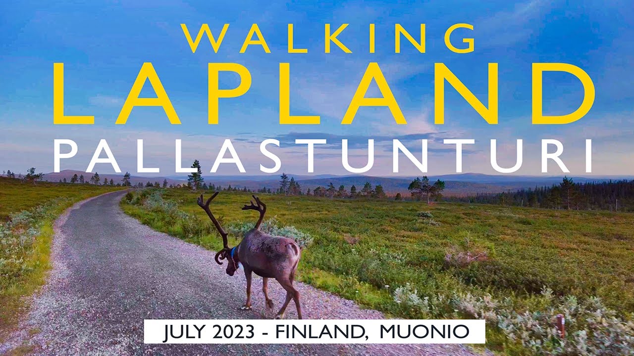 Lapland Walk: Pallastunturi Vatikuru Nature Trail, July 2023, Finland, Muonio [4K]