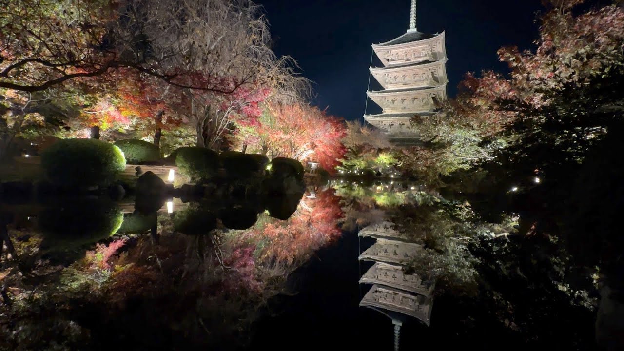Enjoying Autumn Foliage in Kyoto 2023 - Solo Trip at OMO3 Kyoto Toji Temple