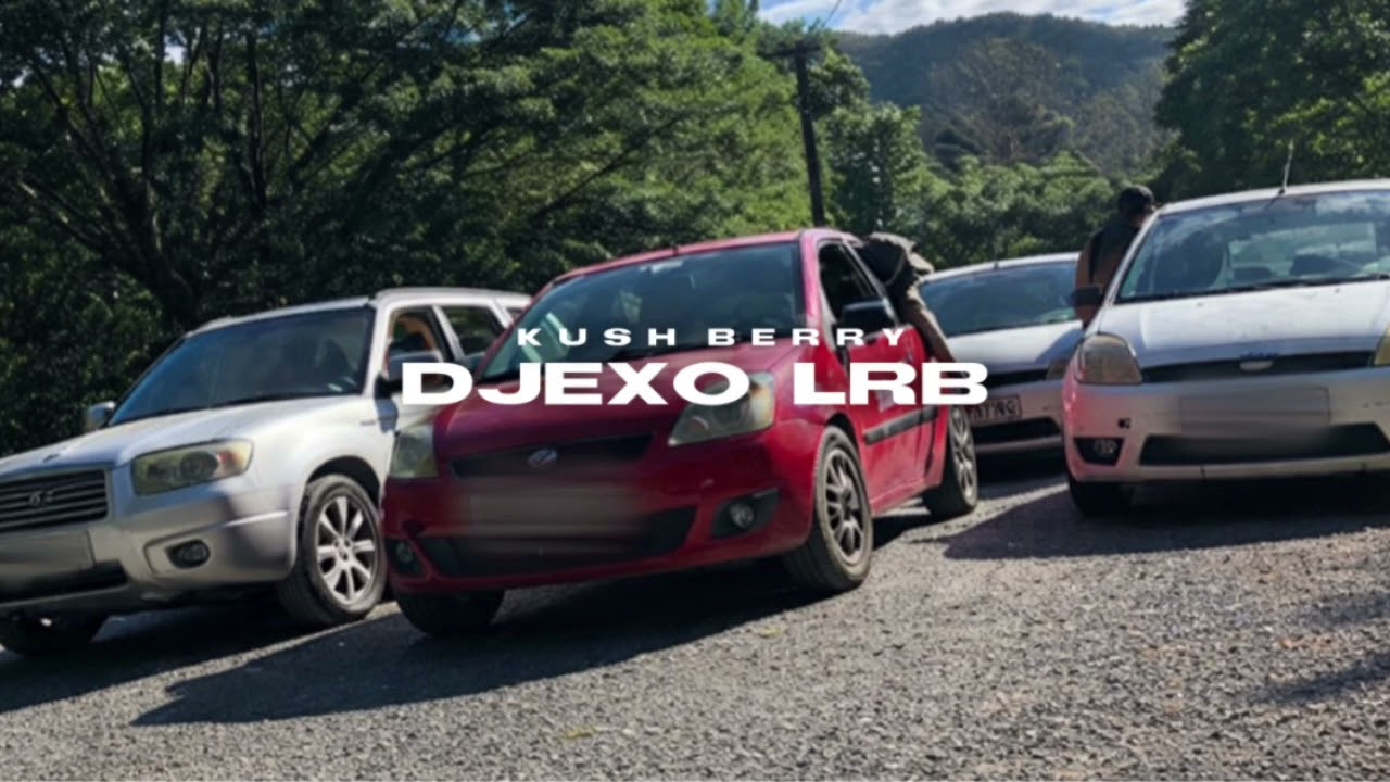 Djexo Lrb 𝔁 NINHO - DES PIGES (Reggae 2026)