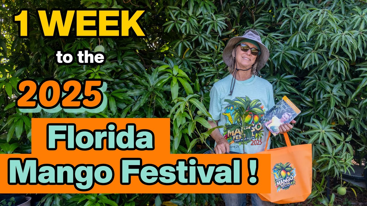 1 Week Until The 2025 Florida Mango Festival!