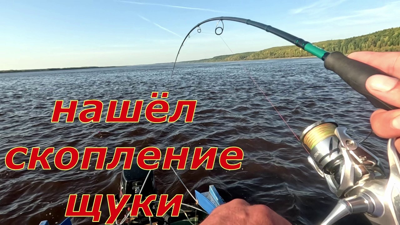 Тут полно щуки и она клюёт как дурная...