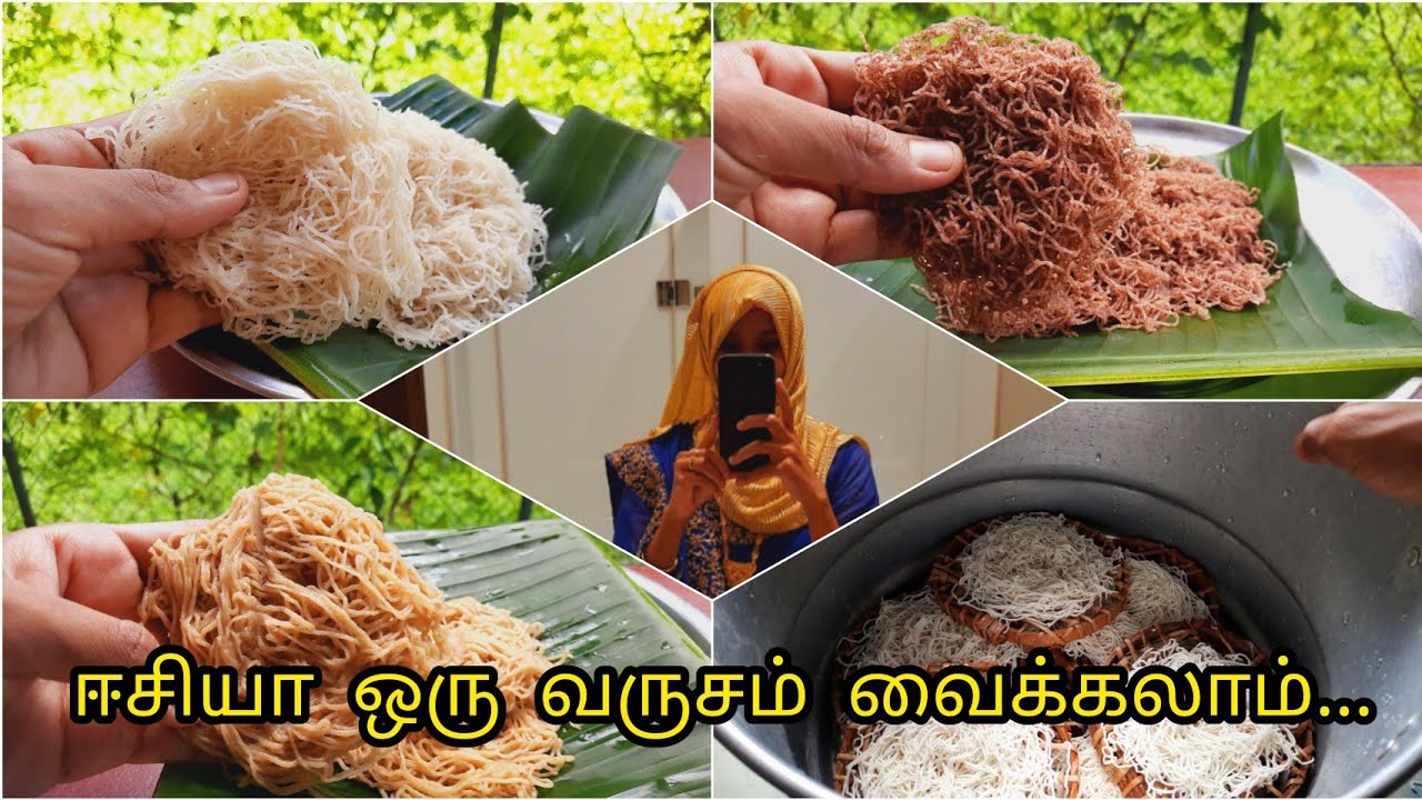 இதுதாங்க ரியலா இடியப்பம்ன்றது/Ragi idiyappam/Wheat idiyappam/Home made idiyappam/String hoppers