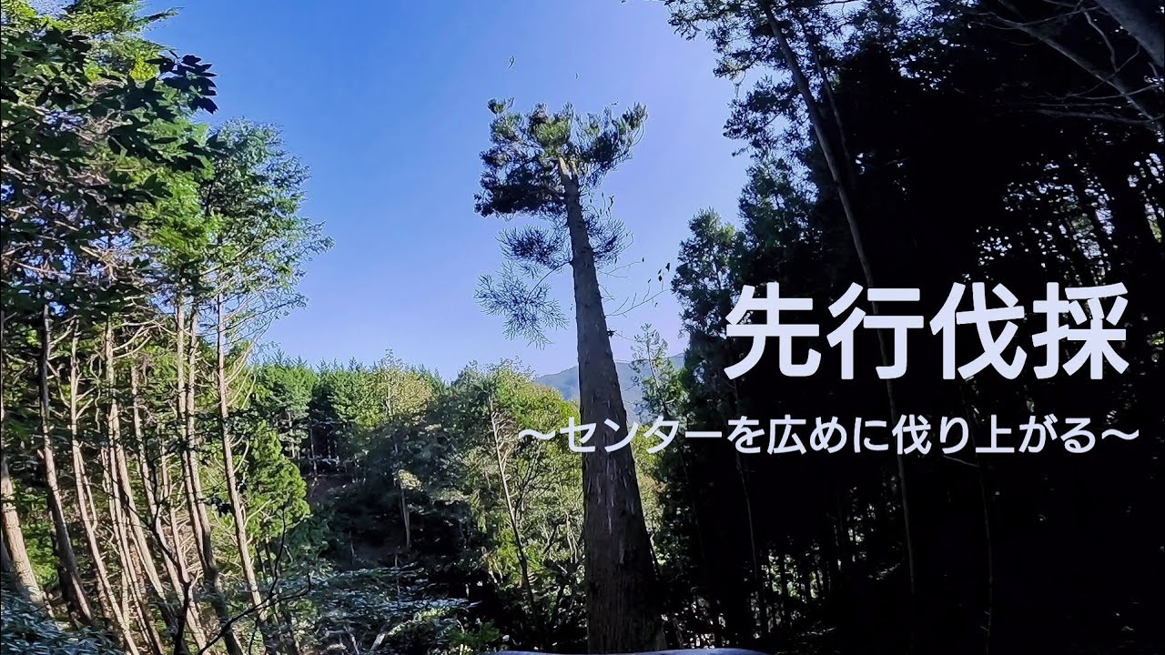 File34『伐採2日目』 ～ 師匠と RINGYOU！2nd ～