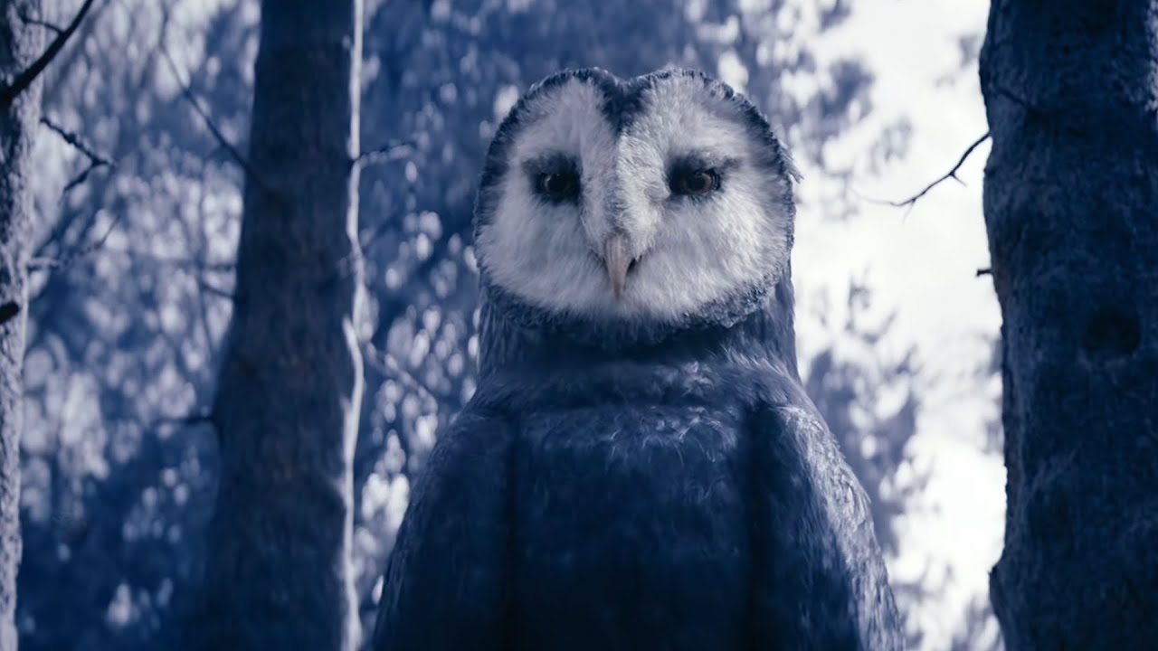 Aang Encounters Wan Shi Tong in Live Action Avatar The Last Airbender Episode 5 Netflix