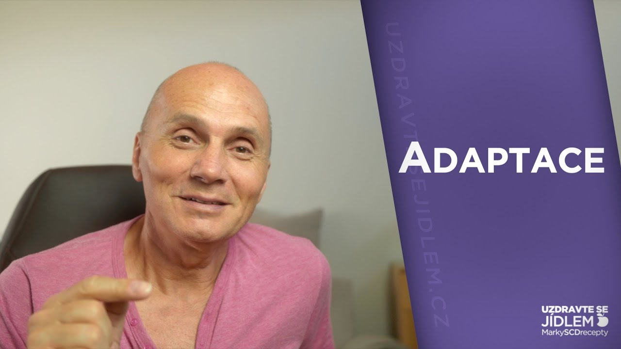 Adaptace?