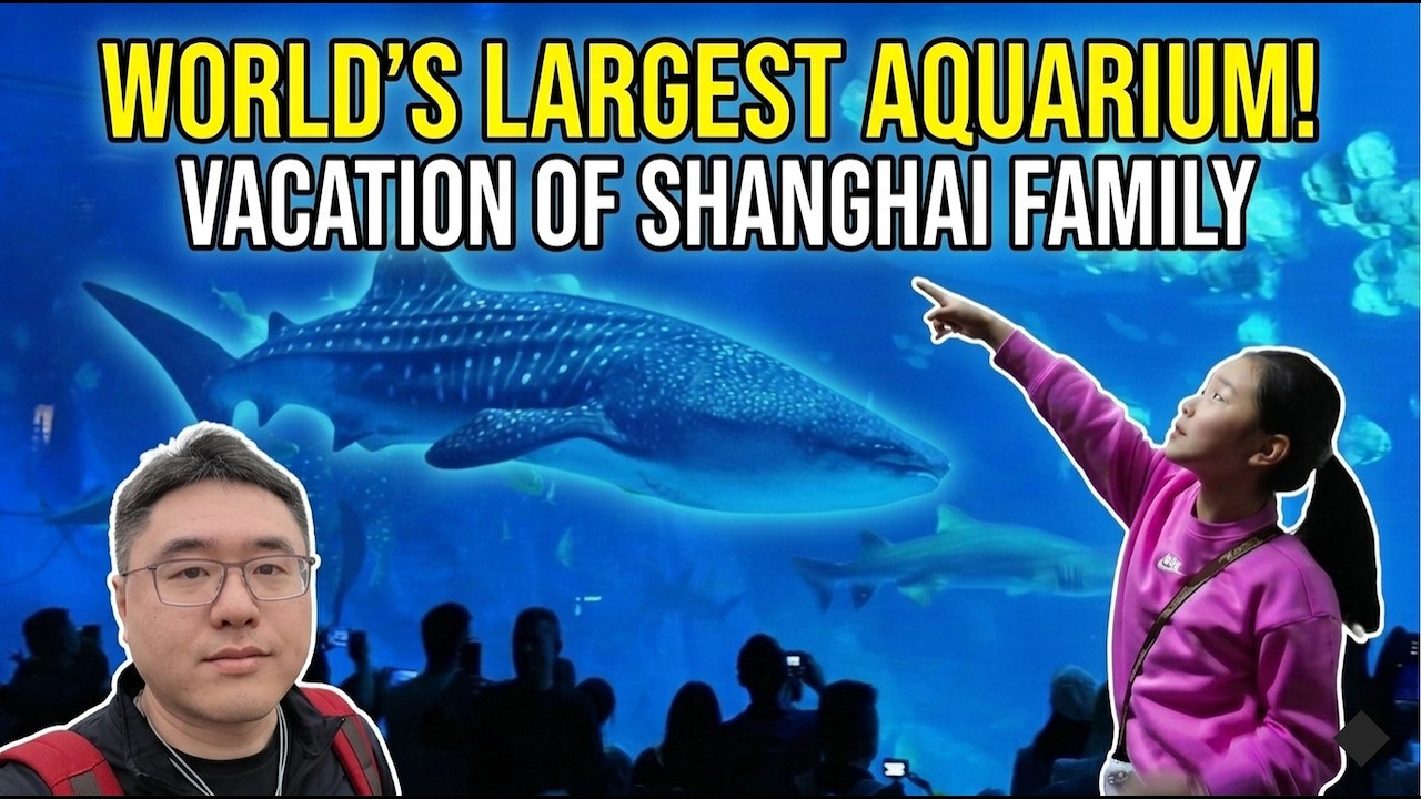 Family Trip to Chimelong Ocean Kingdom | Life in Shanghai