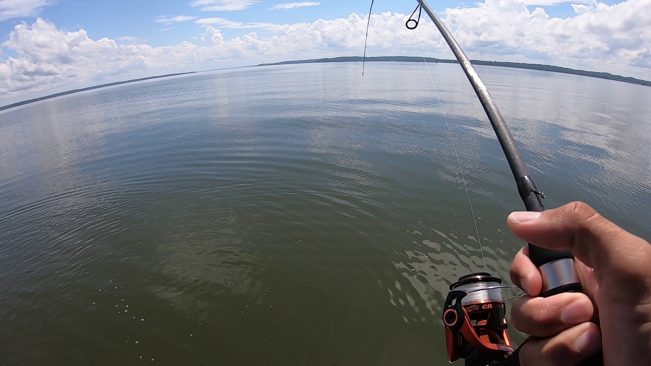 LEW'S Mach Crush Spinning Reel vs Big Fish